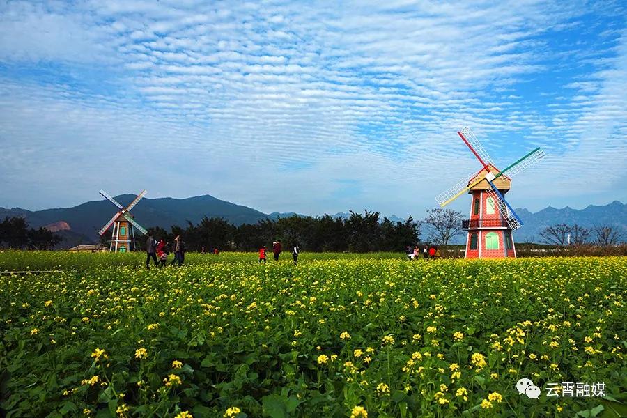 云霄一日游旅游攻略大全,国庆云霄旅游攻略