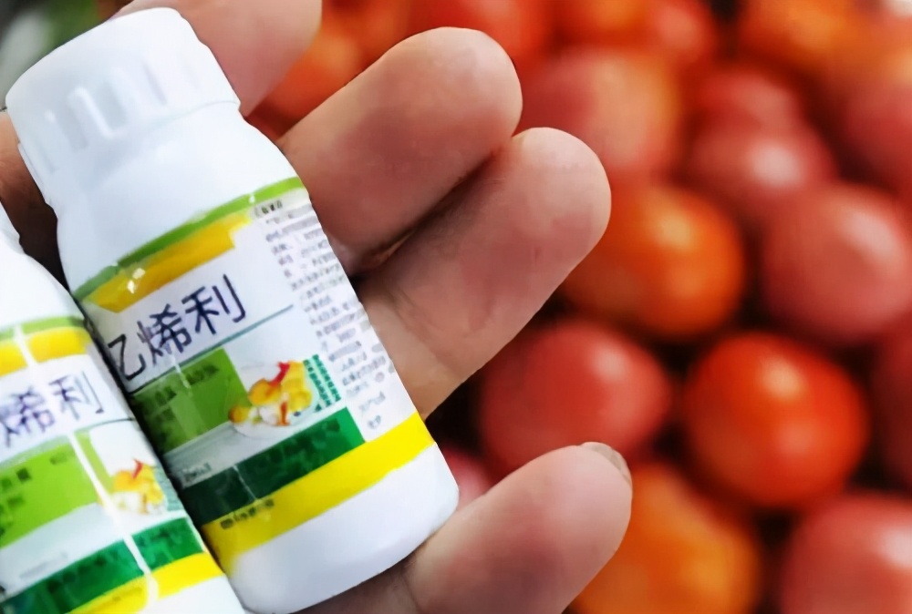 西红柿用的催熟剂对人有害吗,西红柿催熟剂用早了有什么危害