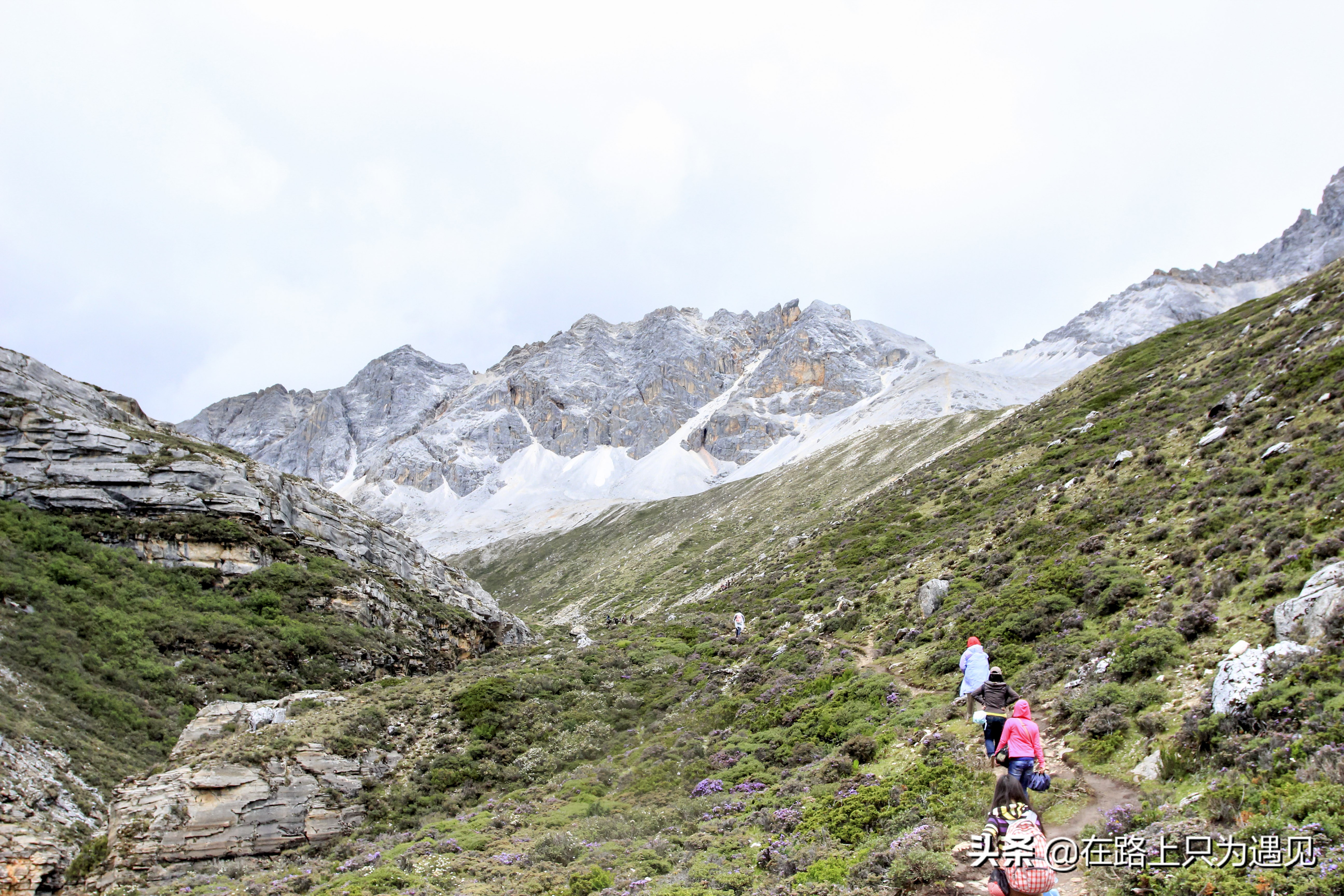 从你的全世界路过稻城亚丁主人公,从你的全世界路过稻城亚丁片段