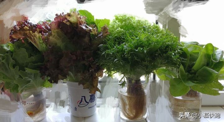 桂林米粉市场消费,桂林米粉消费情况表