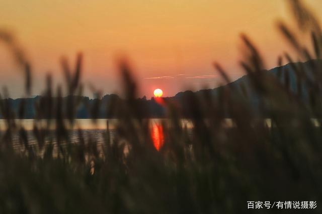 24-105镜头对比测试,怎样选相机镜头