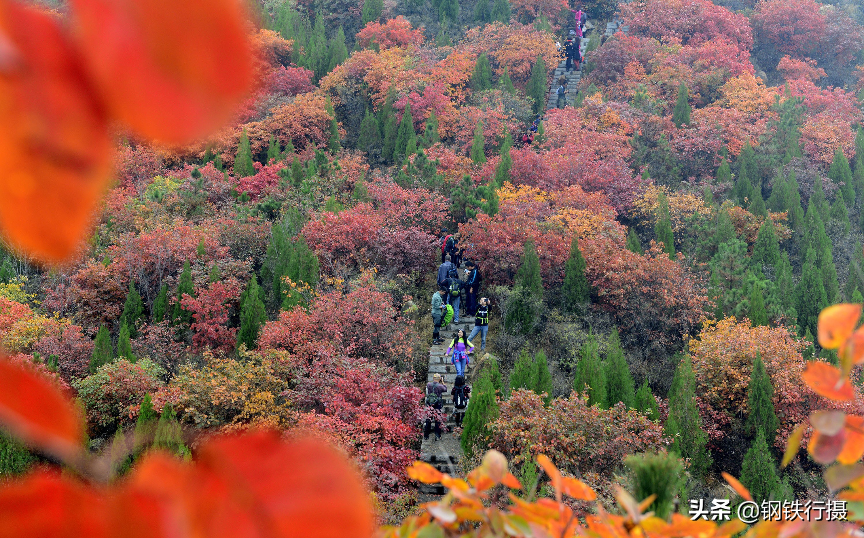 济南秋天风景好的地方,济南秋天景色最美地方排名