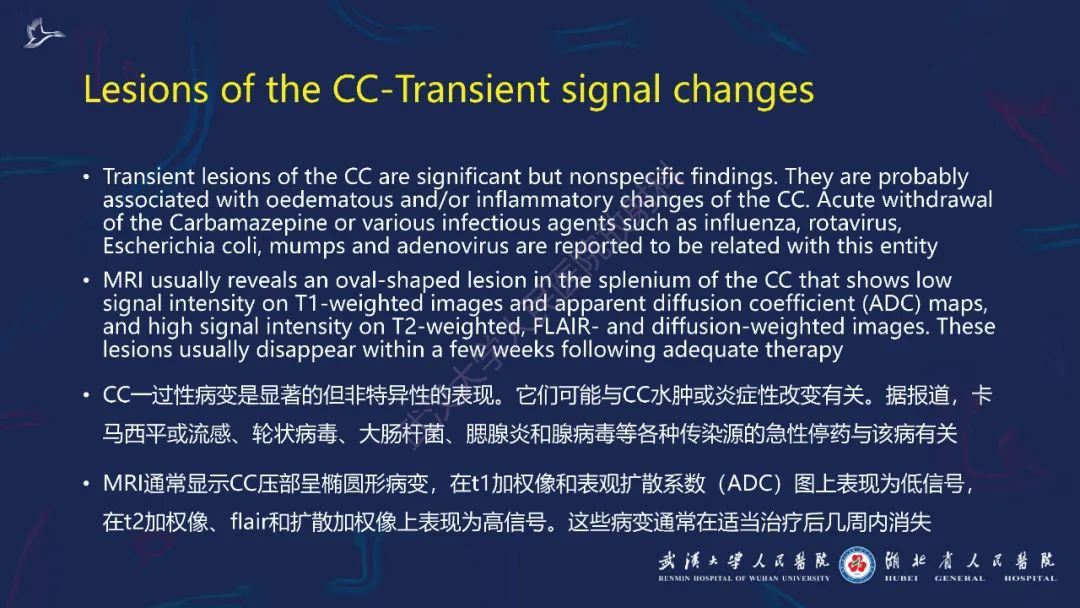 胼胝体肿瘤影像鉴别,胼胝体病变影像诊断