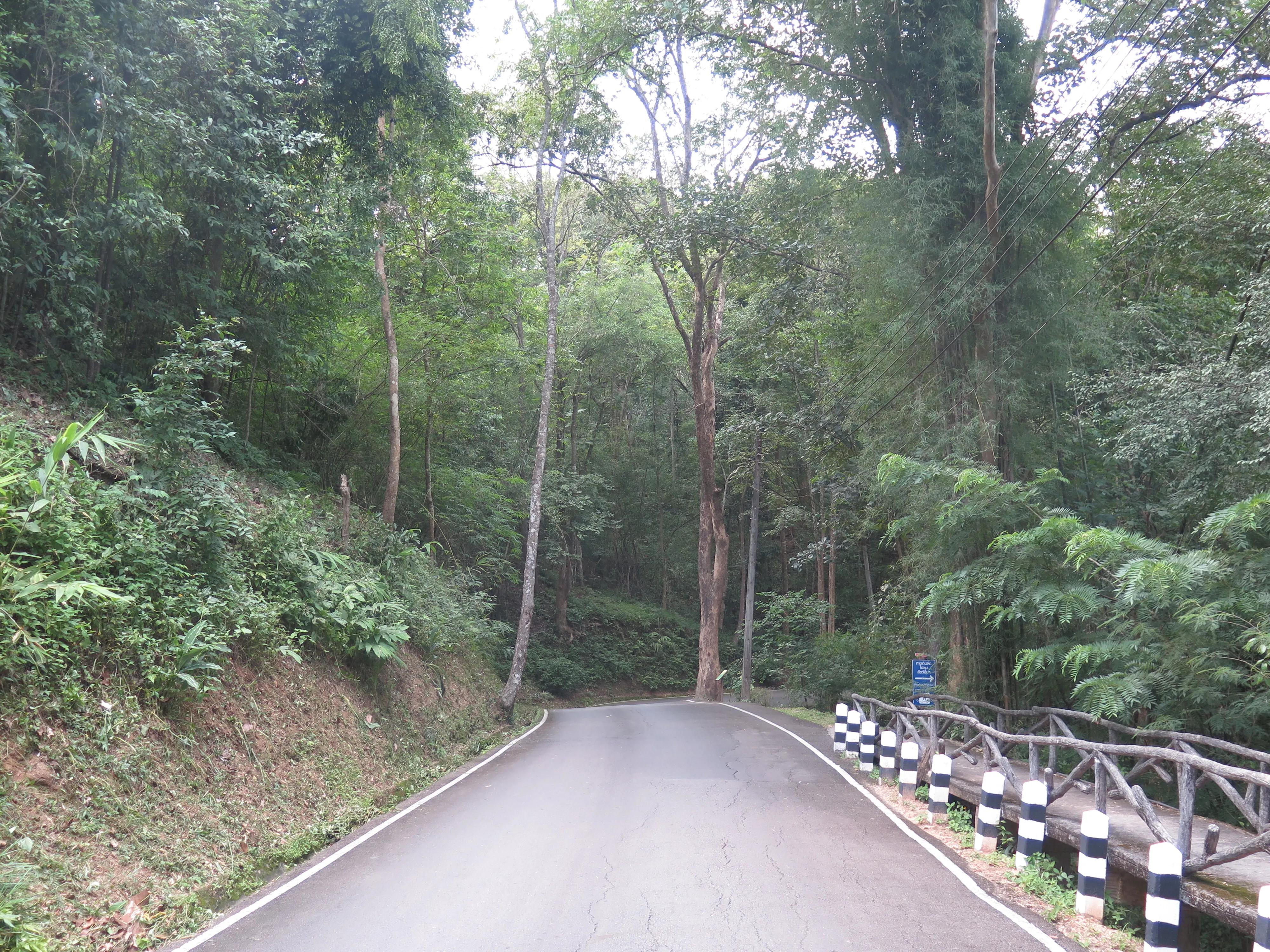 泰国旅游一定要吃什么,泰国旅游必须知道的几个景点