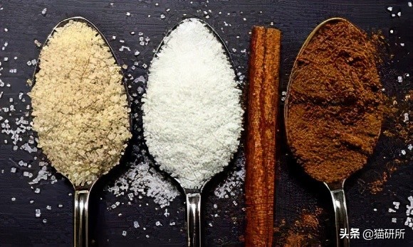 猫属于肉食动物一般不吃什么,猫咪是肉食动物为什么也吃饼干