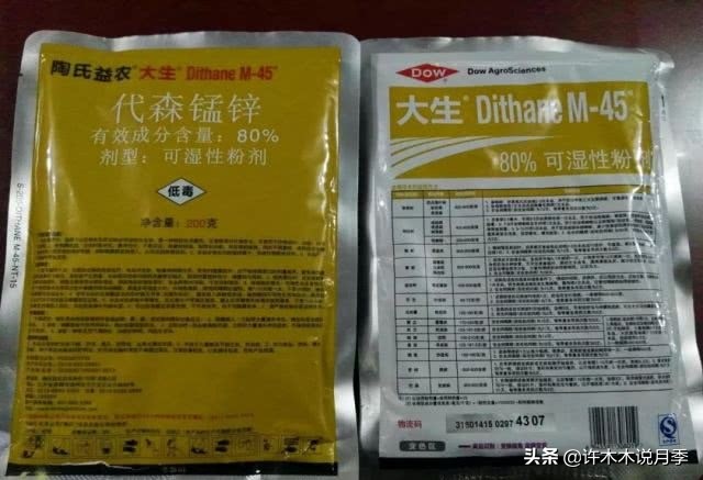 月季忘记埋冬肥了,月季清园几次