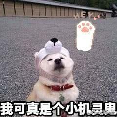 小县城奶茶店加盟生意可以做吗,不想加盟奶茶去哪里学