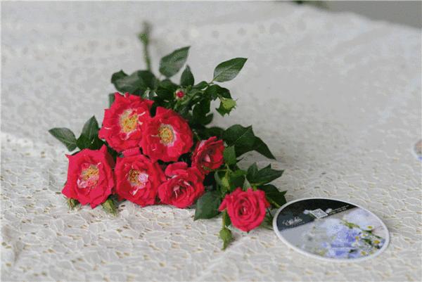 就地过年的新气象,原来就地过年也可以很欢乐