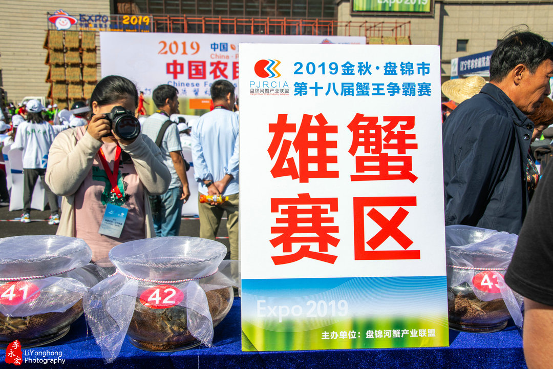 盘锦赵圈河镇河蟹,蟹园盘锦河蟹