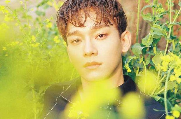 边伯贤吐槽exo音调高,边伯贤怒怼私生饭视频