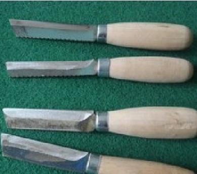 扦插垂柳什么时候成活率高,垂柳能扦插成活吗