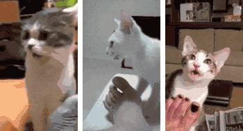 李宁飞织透气轻便跑步鞋,李宁飞织板鞋