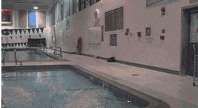 搞笑gif图原谅我不厚道的笑了,搞笑gif段子实在是猝不及防啊