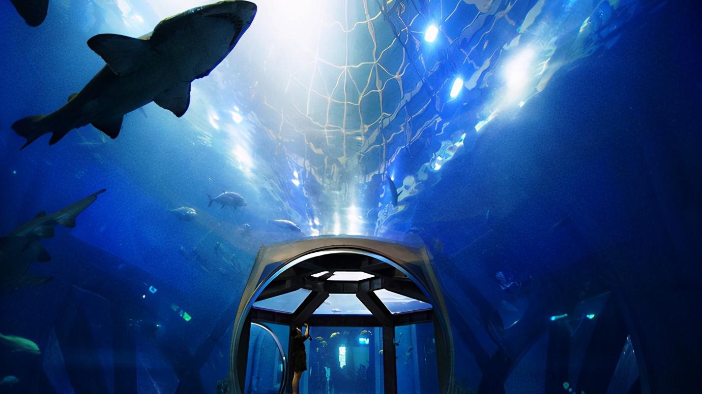 辽宁省大连市都有什么区,辽宁省大连市几个区