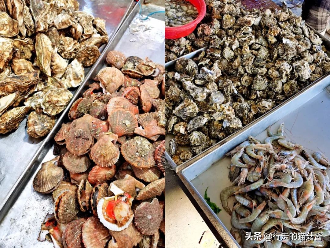 烟台海鲜面哪家最好吃,烟台美食面朝大海现捞现吃