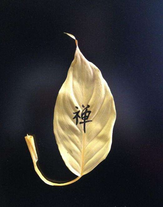 如何理解“圣人常无心，以百姓心为心”？“无心”是什么含义？