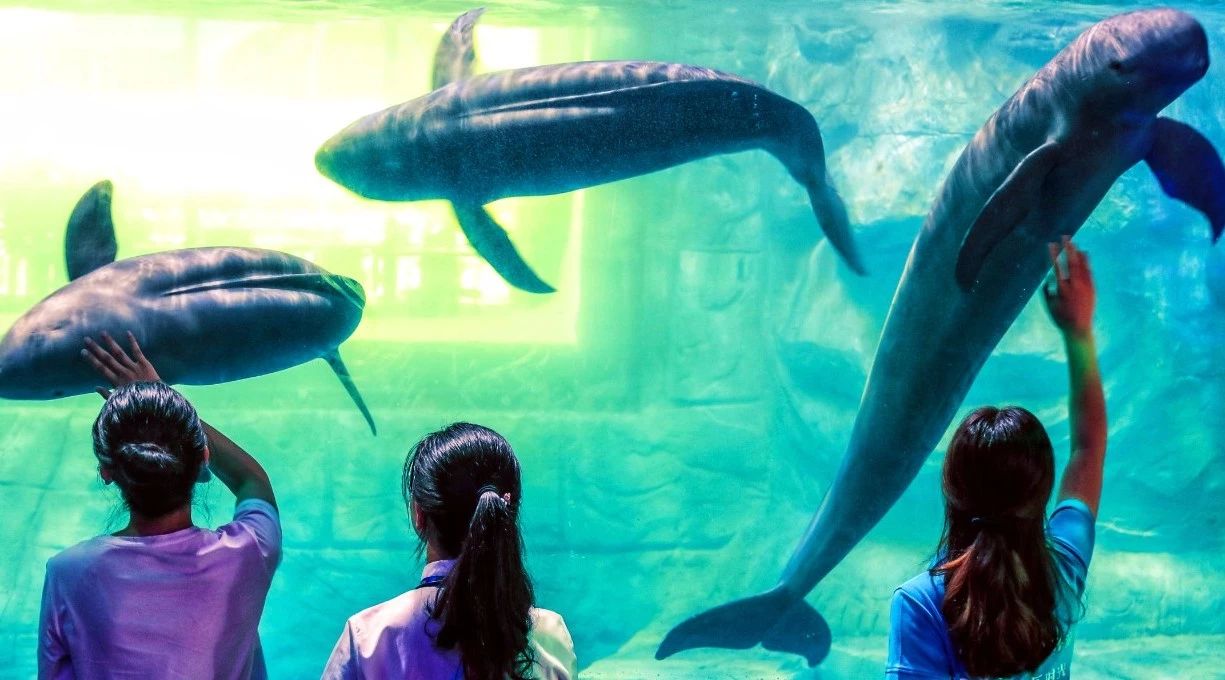 宜昌70岁以上老人免费景点,宜昌70岁高龄补贴