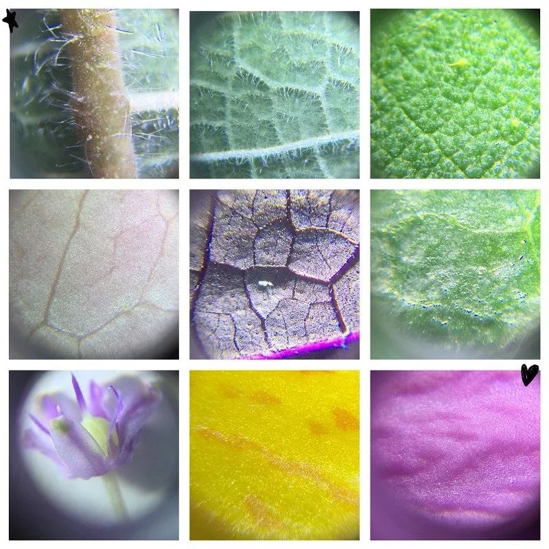 提高宝宝运动能力的玩具推荐,适合儿童的启蒙玩具