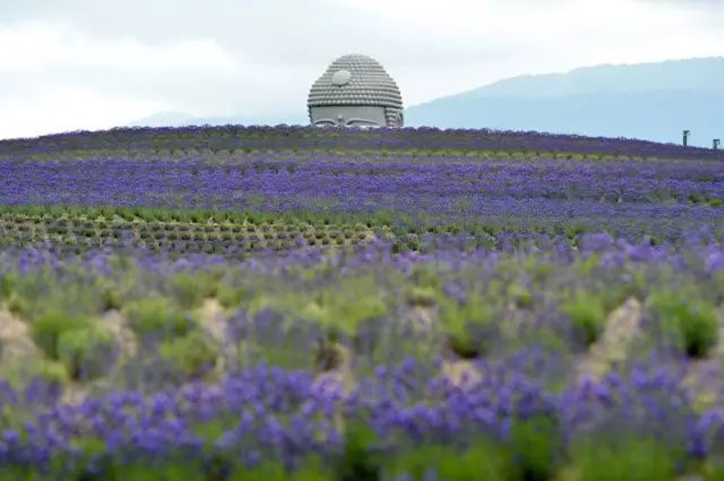 神秘墓地图片,神秘的陵墓图片