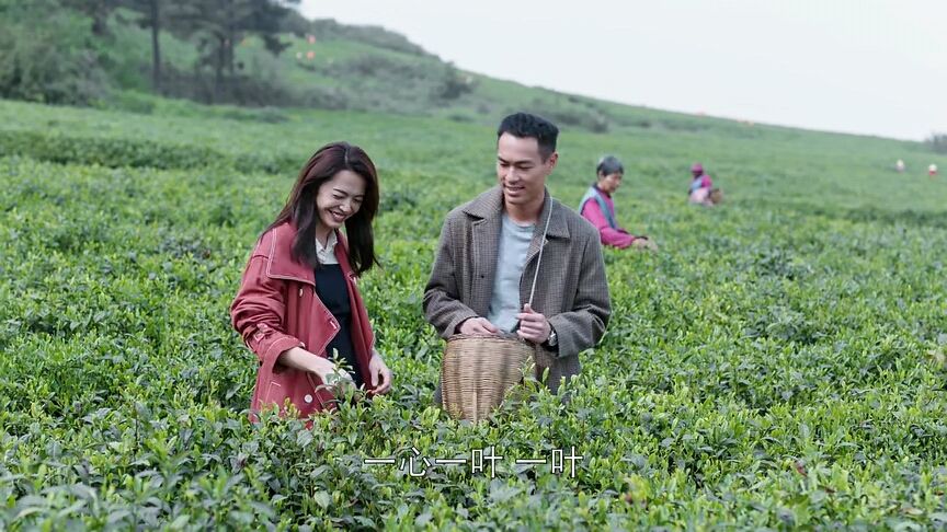 都挺好旅游景点大全,都挺好拍摄地成网红打卡点