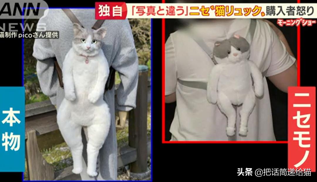 日本网红猫包,日本网红猫咪包
