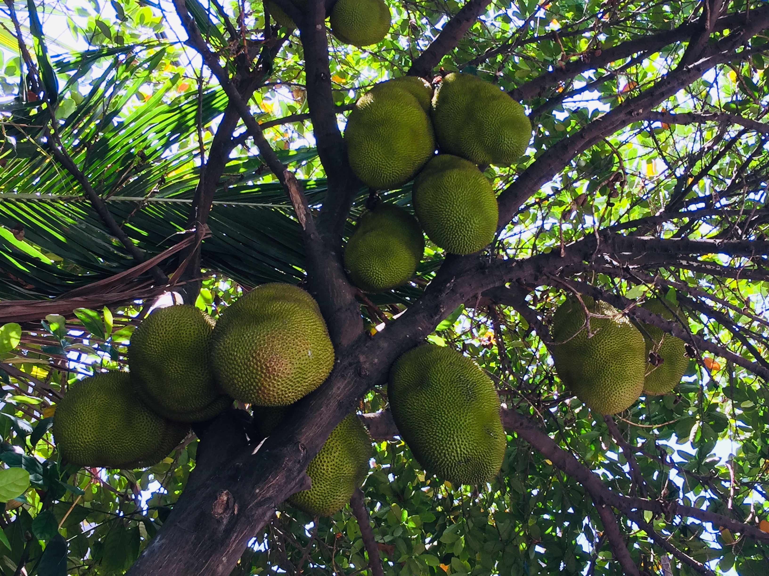 巴厘岛海神庙攻略,巴厘岛游玩攻略