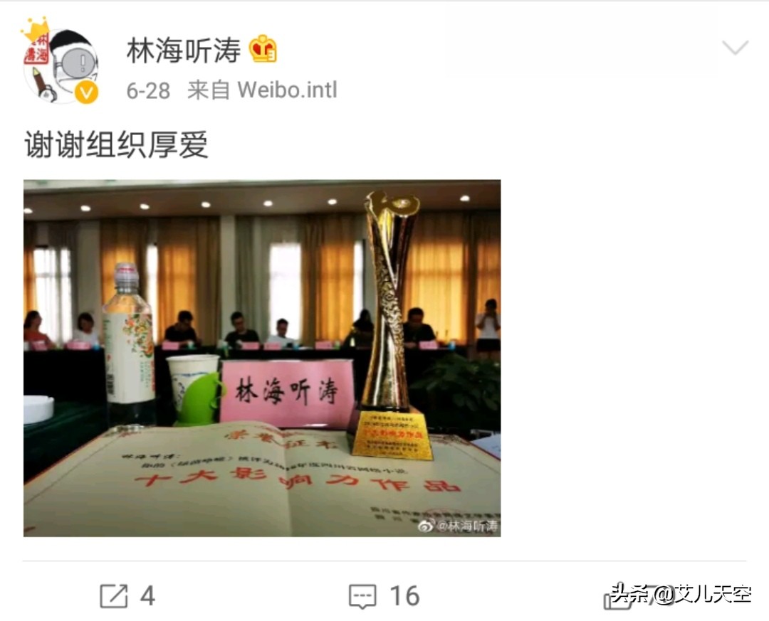 林海听涛冠军之光,林海听涛的小说评价