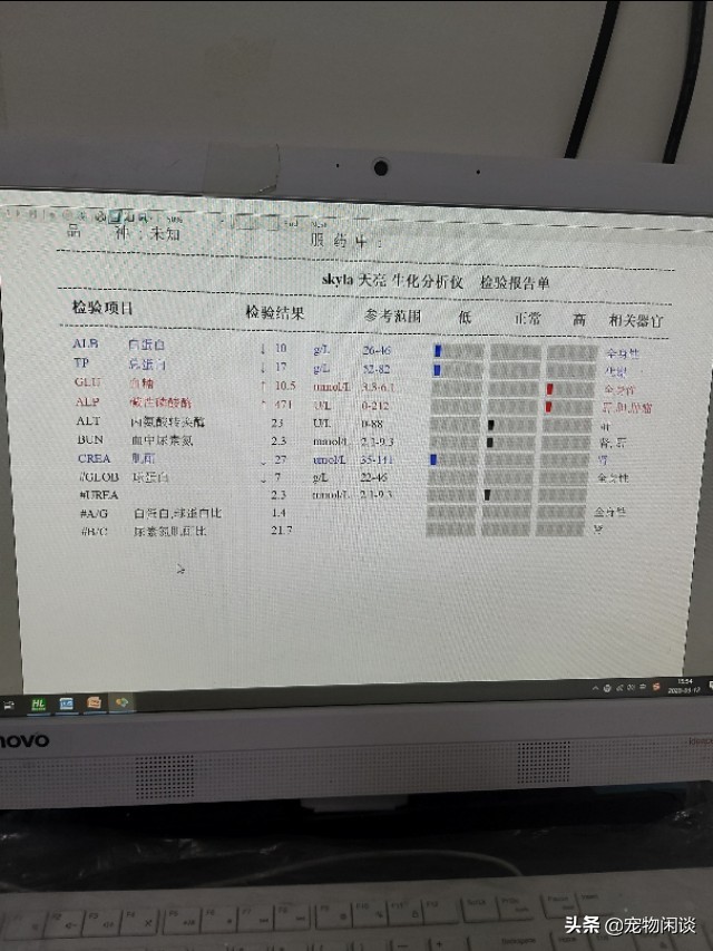 【警惕】好心救小奶狗,三天后死于肺炎!怎样能避免好心办坏事?