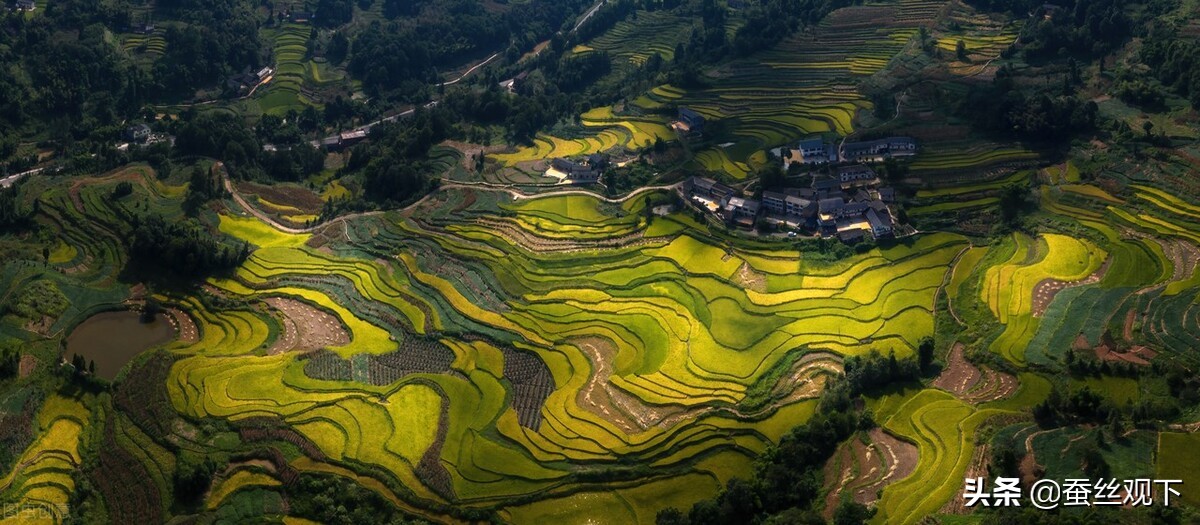 涪陵和永川谁发展更好,涪陵和江津谁发展更好