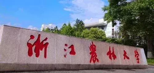 四大航空工资,四大航空公司待遇