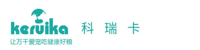 怎么阻止猫咪乱抓东西,怎么样不让猫咪抓虫子