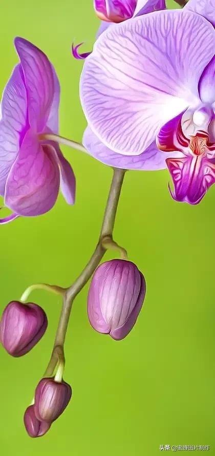 大自然山水美景壁纸全屏,美景壁纸4k全屏