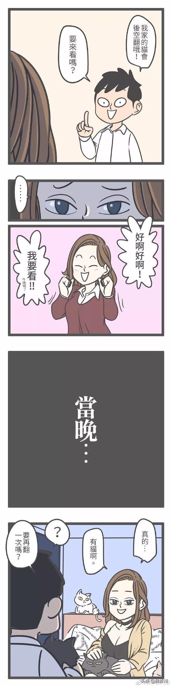 名字随意,随意的名字