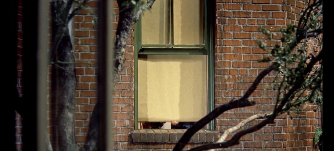 希区柯克经典电影后窗,希区柯克后窗艺术