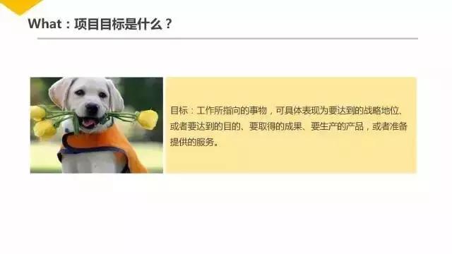 项目管理培训ppt下载,ppt一般多少页比较好