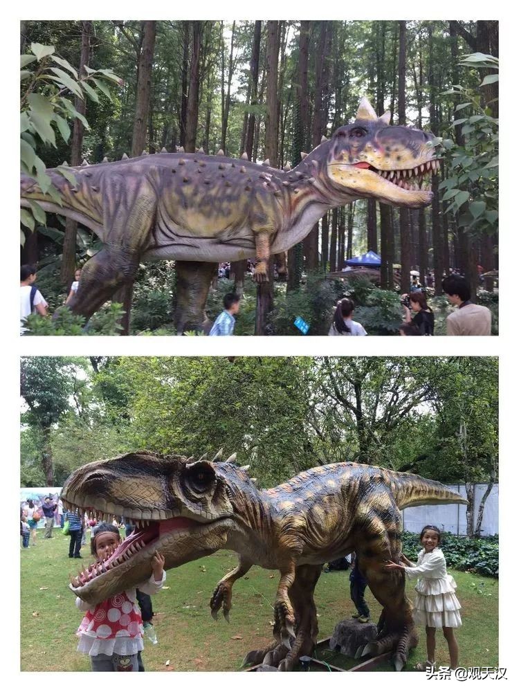 汉中恐龙乐园免费地点,汉中恐龙乐园门票