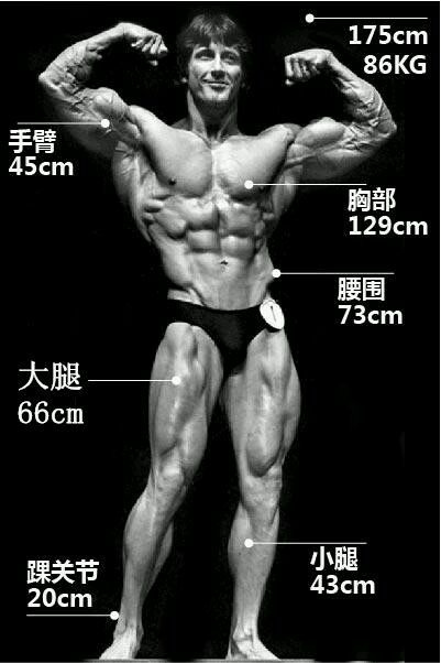 闃胯鏂界摝杈涙牸浣撳舰,鏂界摝杈涙牸浣撳瀷