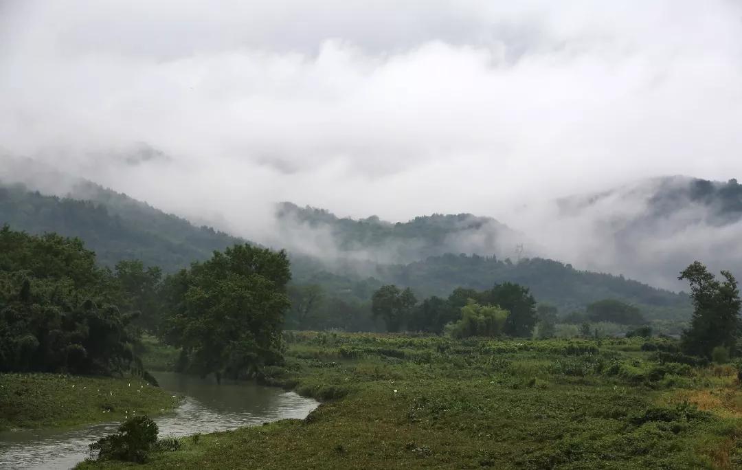 雅漾地址,雅漾去红产品