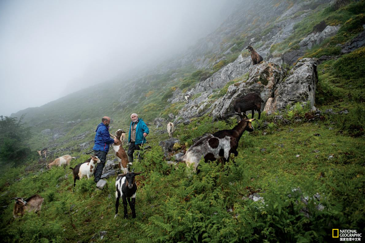 阿斯图里亚斯与西班牙的关系,西班牙阿斯图里亚斯