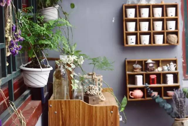 梦想改造家小户型,农村庭院改造效果图大全