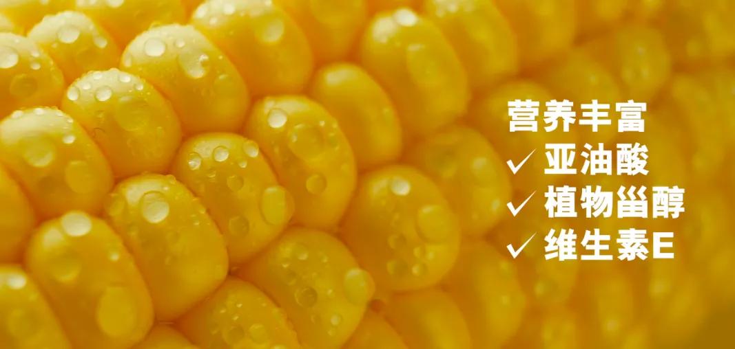 刀唛玉米油金装和普通装的区别,刀唛玉米油哪种质量最好