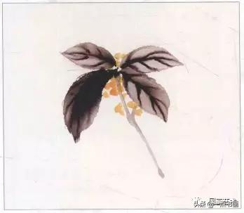 几组写意花鸟创作示范图解,国画小品写意花鸟图片欣赏