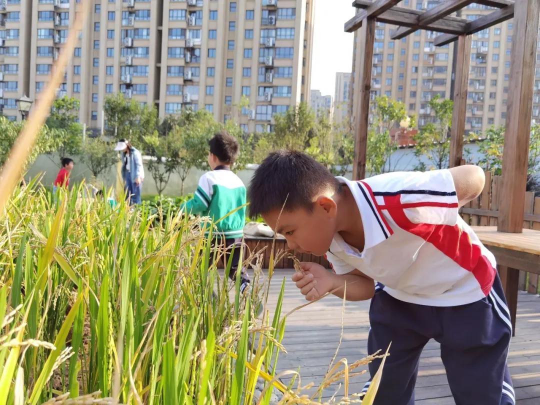秋天你好吗,秋天你好