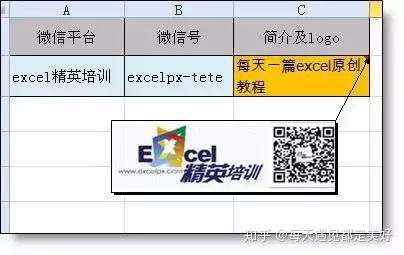 excel怎么计算数值绝对值的平均值,excel中的绝对值引用符号怎么添加