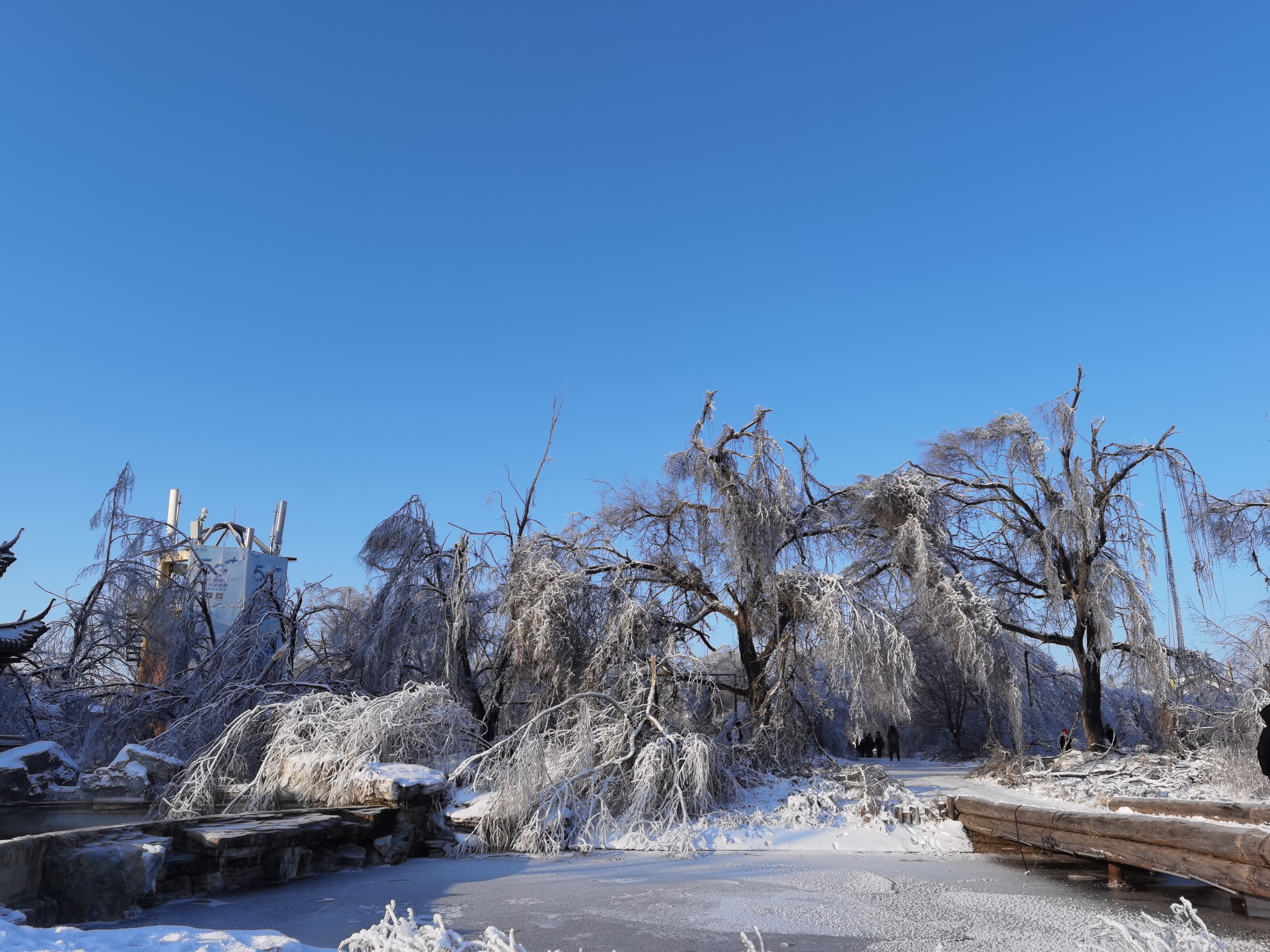 东北旅游人均1500,东北人旅游全攻略