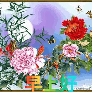 11.15,我把祝福送给你，幸福你每一秒，早晨好！