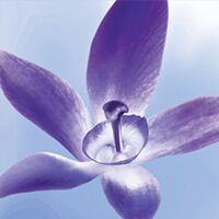 自然堂冰肌水凝润型,自然堂冰肌水广告