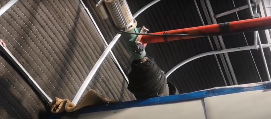 董菜菜抖音,董菜菜最新视频