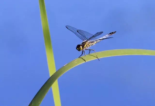北京房山团建踏青地点推荐,北京房山春季旅游最佳去处
