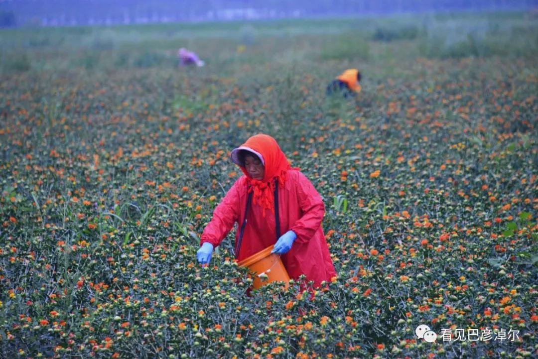 七分钟带你领略大美乌拉特前旗 (带你去看乌拉特前旗)